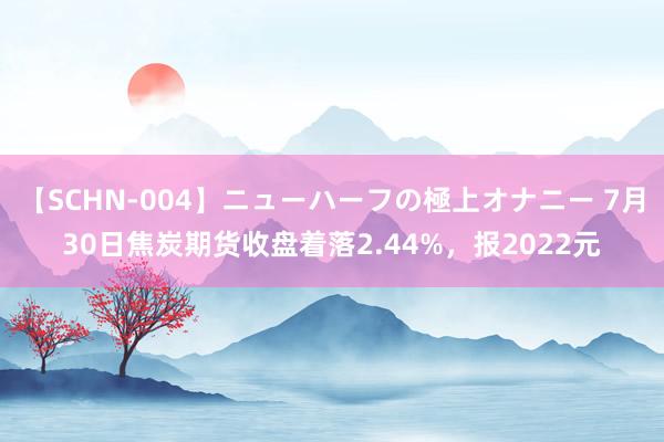 【SCHN-004】ニューハーフの極上オナニー 7月30日焦炭期货收盘着落2.44%，报2022元