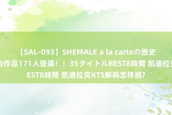 【SAL-093】SHEMALE a la carteの歴史 2008～2011 国内作品171人登場！！35タイトルBEST8時間 凯迪拉克XTS解码怎样搞?