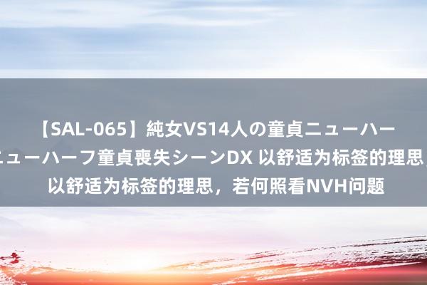 【SAL-065】純女VS14人の童貞ニューハーフ 二度と見れないニューハーフ童貞喪失シーンDX 以舒适为标签的理思，若何照看NVH问题