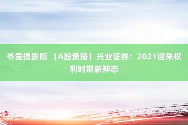 爷爱撸影院 【A股策略】兴业证券：2021迎来权利时期新神态