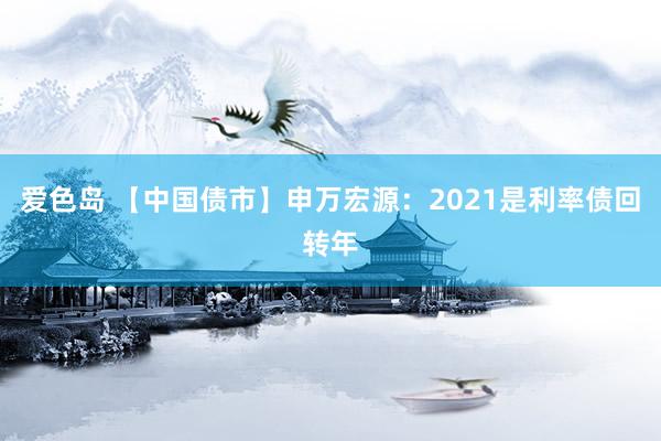 爱色岛 【中国债市】申万宏源：2021是利率债回转年