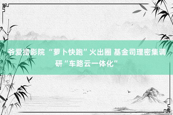 爷爱撸影院 “萝卜快跑”火出圈 基金司理密集调研“车路云一体化”