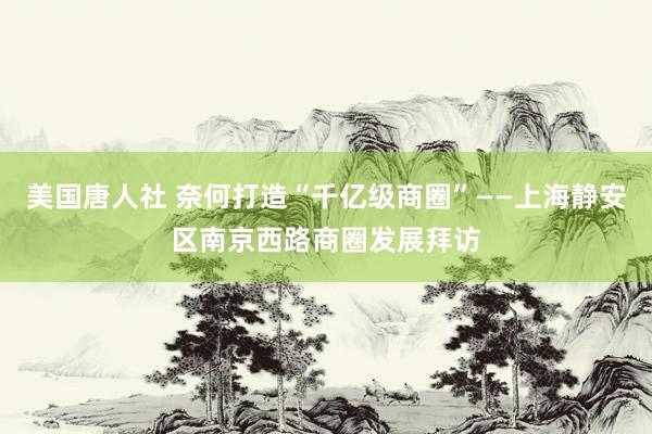 美国唐人社 奈何打造“千亿级商圈”——上海静安区南京西路商圈发展拜访