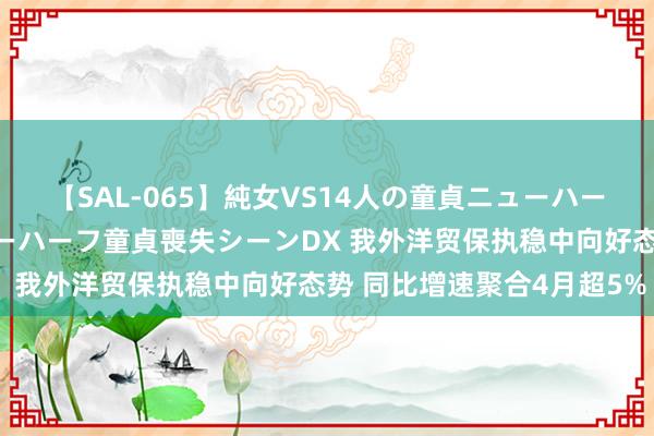 【SAL-065】純女VS14人の童貞ニューハーフ 二度と見れないニューハーフ童貞喪失シーンDX 我外洋贸保执稳中向好态势 同比增速聚合4月超5%