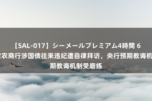 【SAL-017】シーメールプレミアム4時間 6 苏南四家农商行涉国债往来违纪遭自律拜访，央行预期教诲机制受磨练