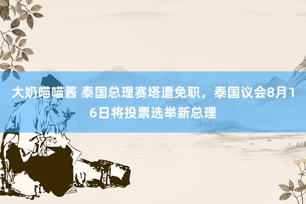 大奶喵喵酱 泰国总理赛塔遭免职，泰国议会8月16日将投票选举新总理