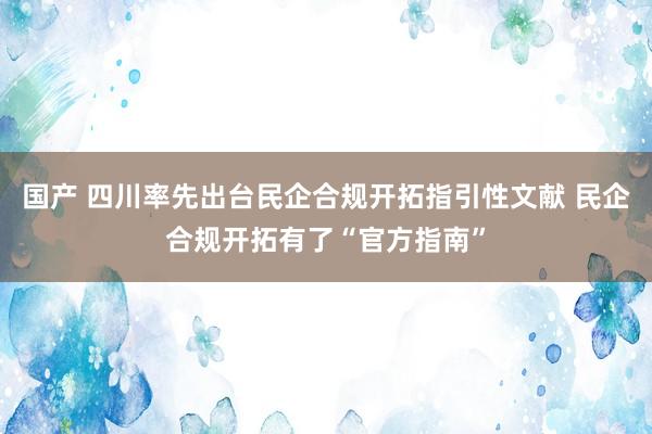 国产 四川率先出台民企合规开拓指引性文献 民企合规开拓有了“官方指南”