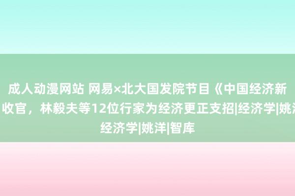 成人动漫网站 网易×北大国发院节目《中国经济新动能》收官，林毅夫等12位行家为经济更正支招|经济学|姚洋|智库