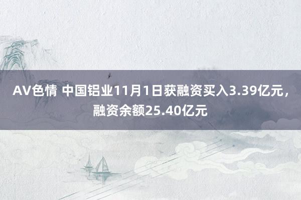 AV色情 中国铝业11月1日获融资买入3.39亿元，融资余额25.40亿元