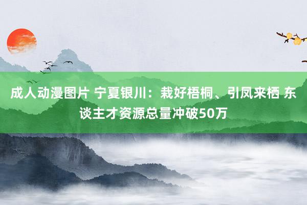 成人动漫图片 宁夏银川：栽好梧桐、引凤来栖 东谈主才资源总量冲破50万