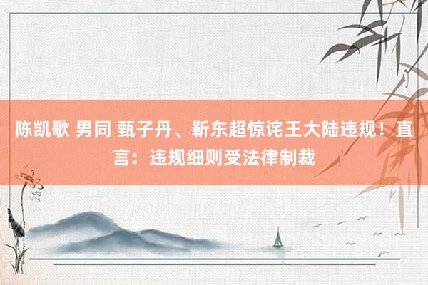 陈凯歌 男同 甄子丹、靳东超惊诧王大陆违规！直言：违规细则受法律制裁